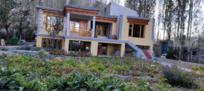 Feroz homestay